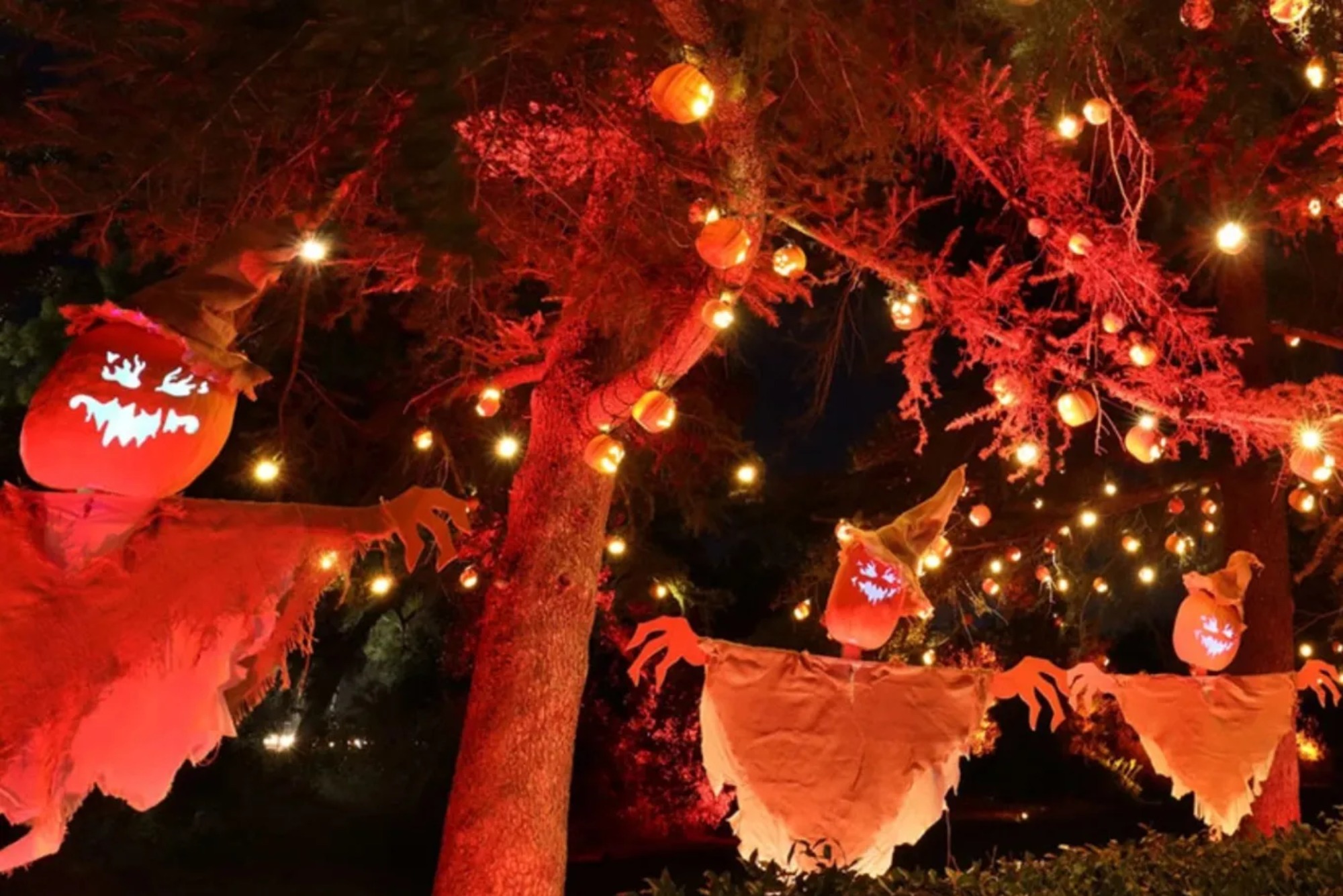 Best Halloween Things To Do In Los Angeles