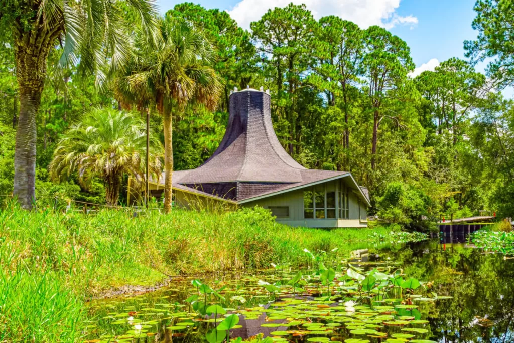 Best Places to Visit in Georgia, USA