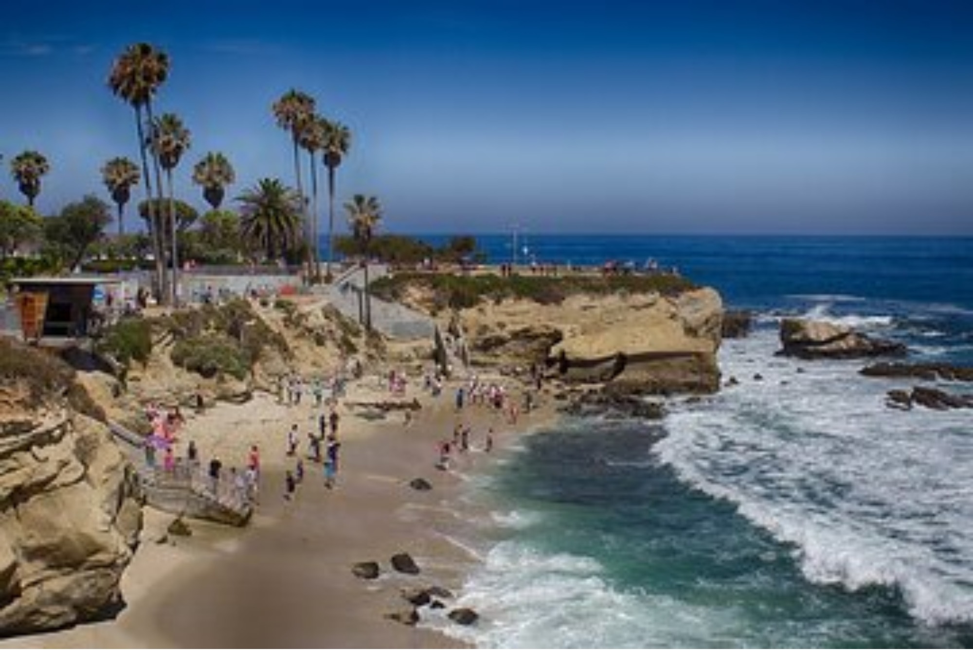 Best Things To Do In La Jolla