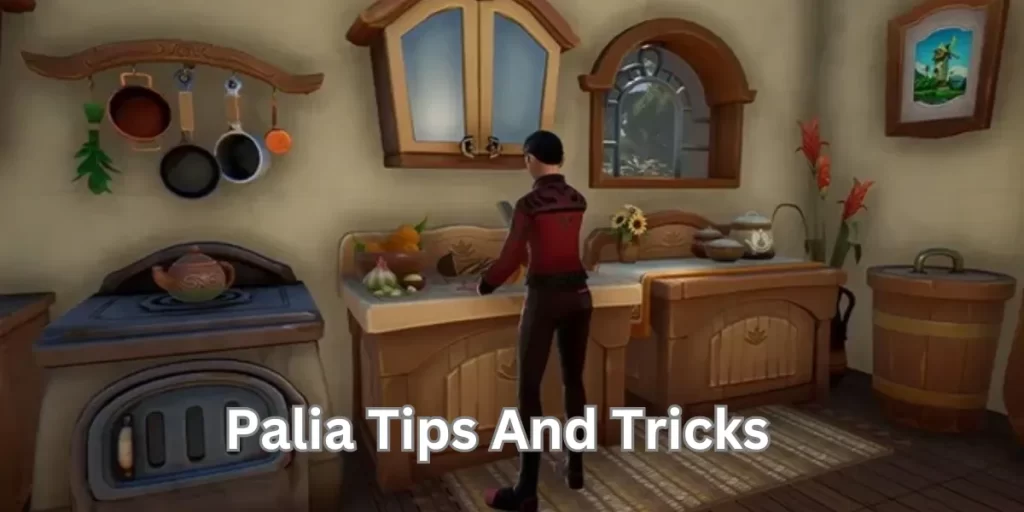 Palia Tips And Tricks