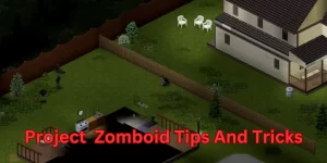 Project Zomboid Tips And Tricks