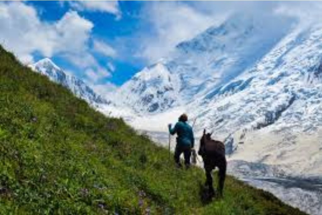 what is a national park guided basecamp hiking tour