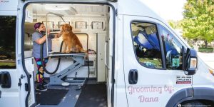 Mobile Dog Groomers Near Me