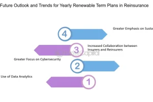 Future Outlook and Expansion Plans