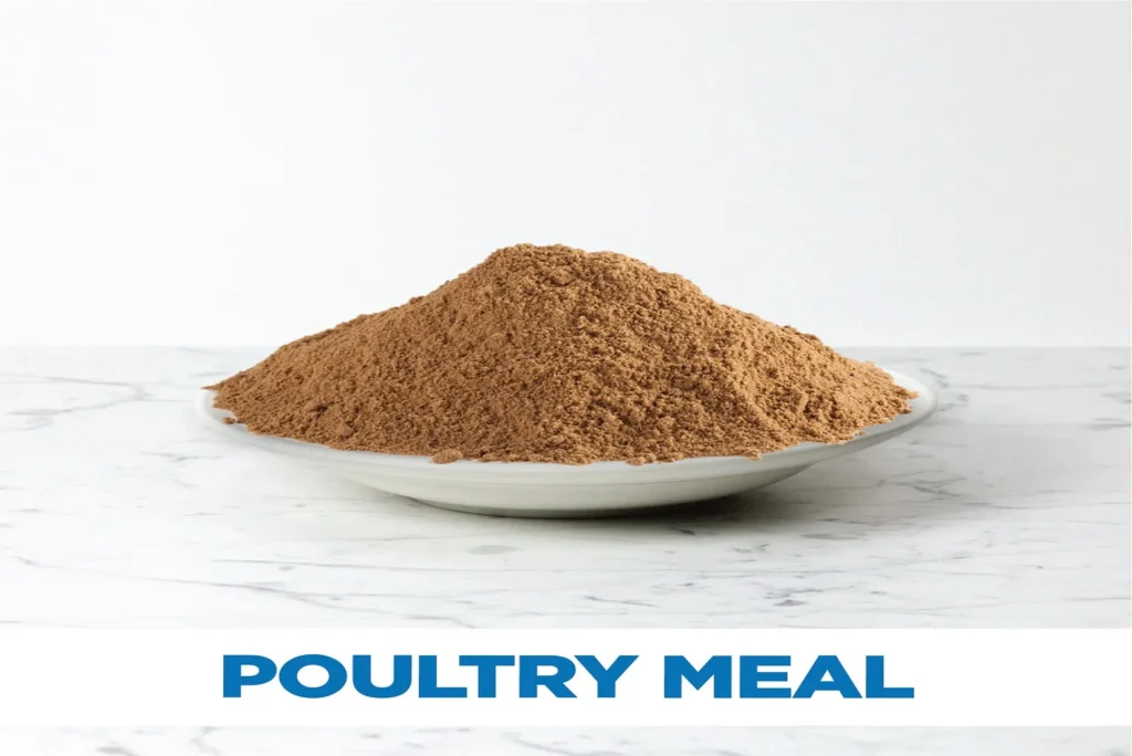 Poultry Meal Production