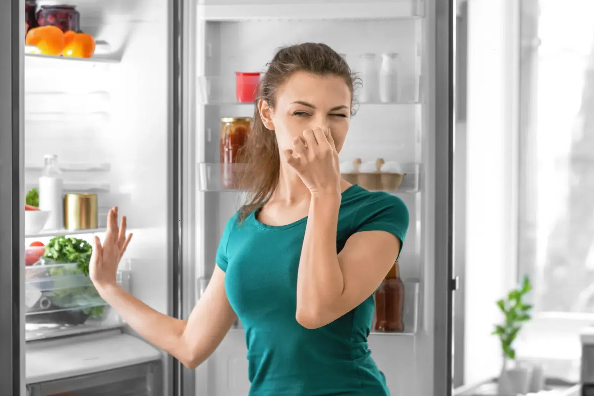 How to Prevent Refrigerator Odors