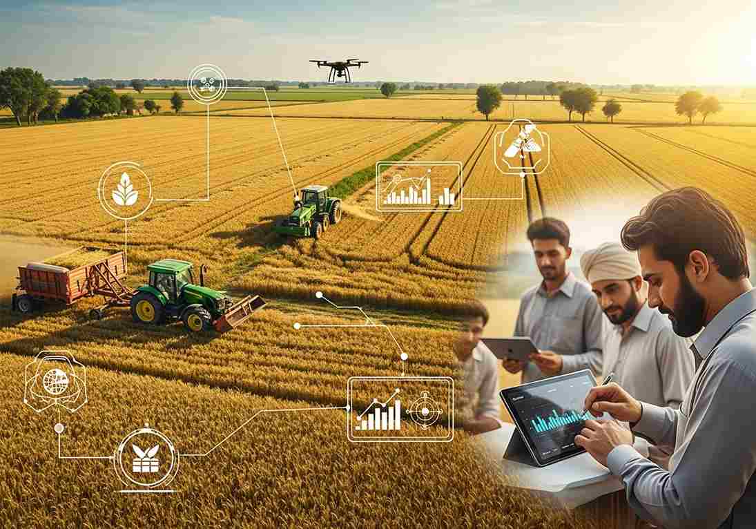 Quick-Tips-for-Accurate-Crop-Yield-Estimates-in-Pakistan