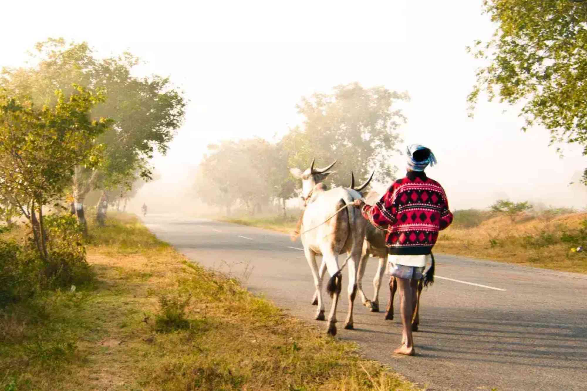 A Photoâ€‘Essay Stunning Trails Across India You Need to See